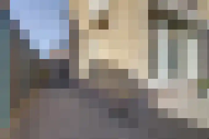 Nicolaas Sichmansstraat 17 Eersel thumbnail 44