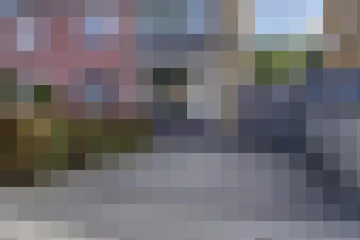 Nicolaas Sichmansstraat 17 Eersel thumbnail 45