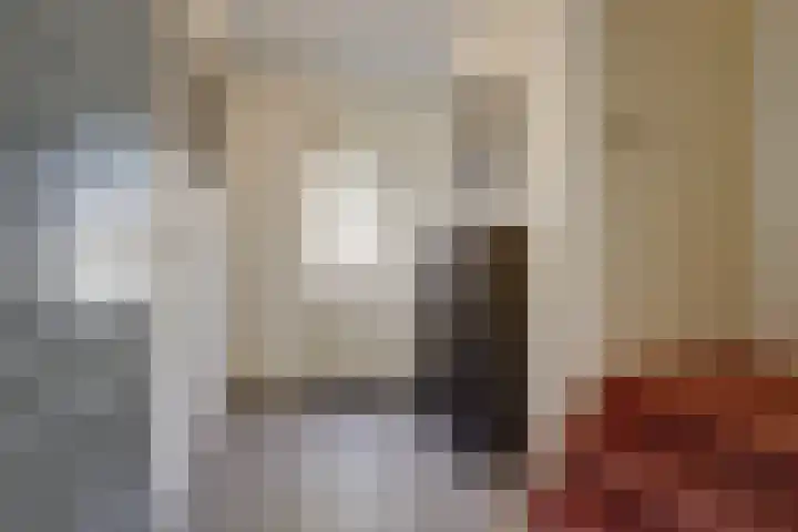 Nicolaas Sichmansstraat 17 Eersel thumbnail 6
