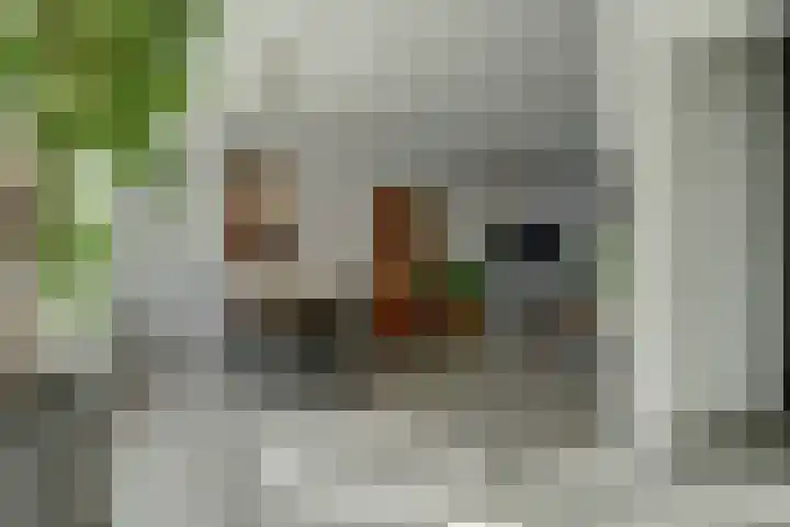 Nicolaas Sichmansstraat 17 Eersel thumbnail 7
