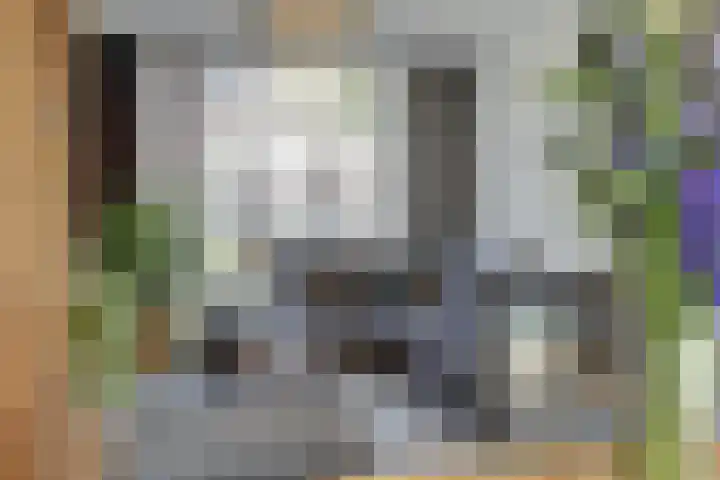 Nicolaas Sichmansstraat 17 Eersel thumbnail 9