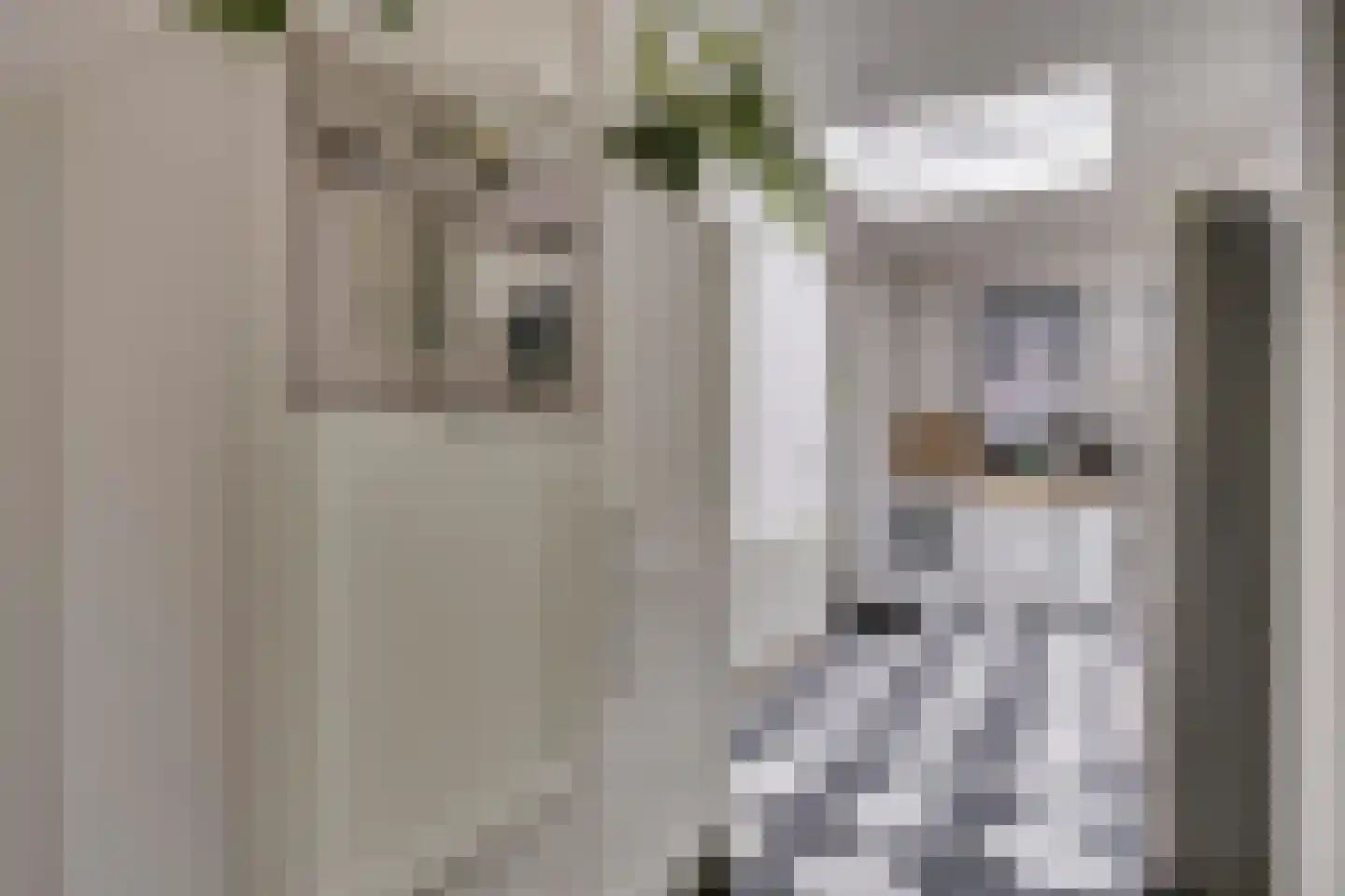 Nicolaas Sichmansstraat 43 Eersel thumbnail 10