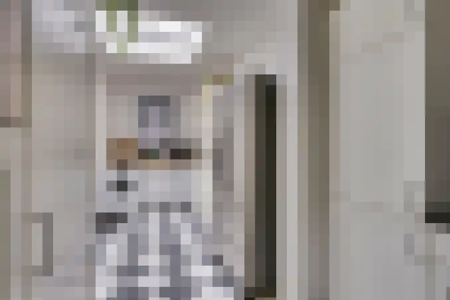 Nicolaas Sichmansstraat 43 Eersel thumbnail 11