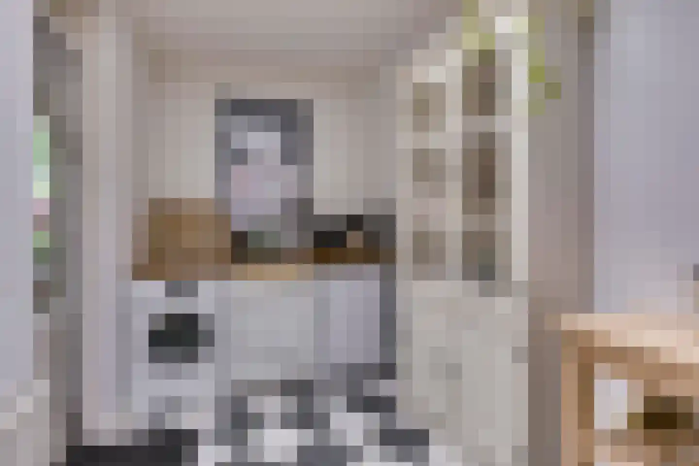 Nicolaas Sichmansstraat 43 Eersel thumbnail 12