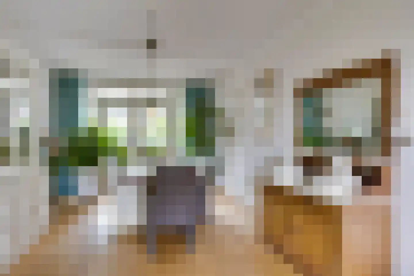 Nicolaas Sichmansstraat 43 Eersel thumbnail 12