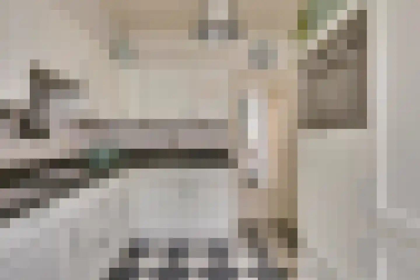 Nicolaas Sichmansstraat 43 Eersel thumbnail 13