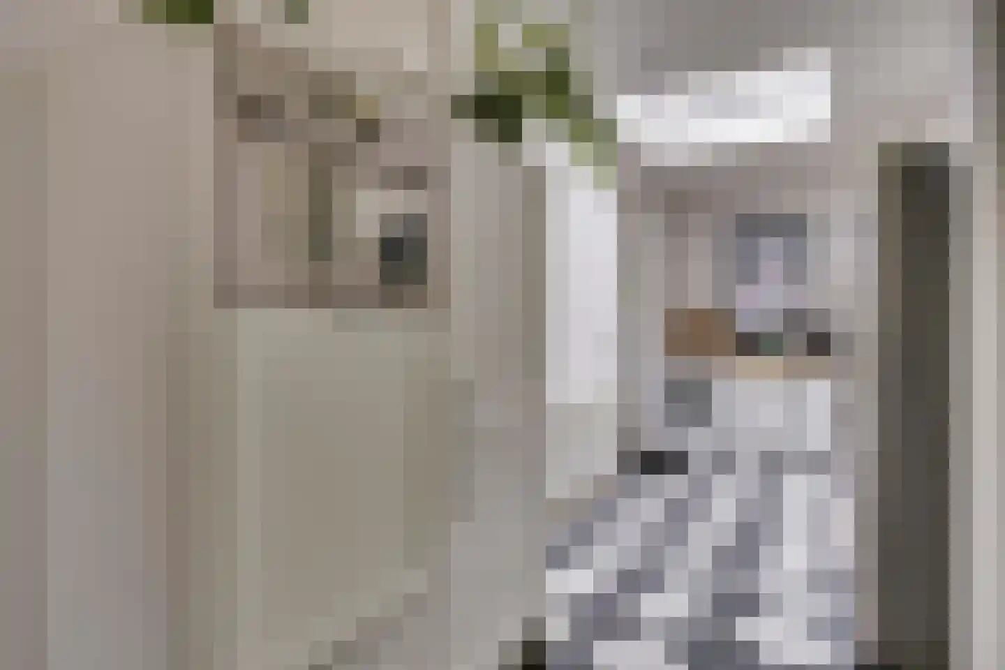 Nicolaas Sichmansstraat 43 Eersel thumbnail 16