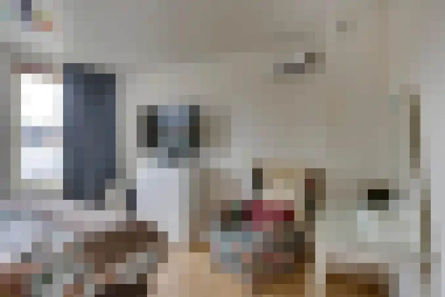 Nicolaas Sichmansstraat 43 Eersel thumbnail 18