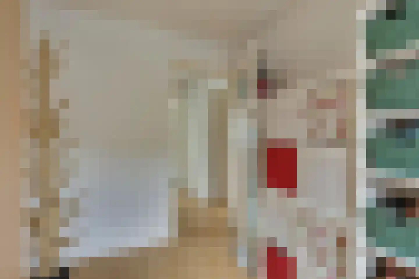 Nicolaas Sichmansstraat 43 Eersel thumbnail 25