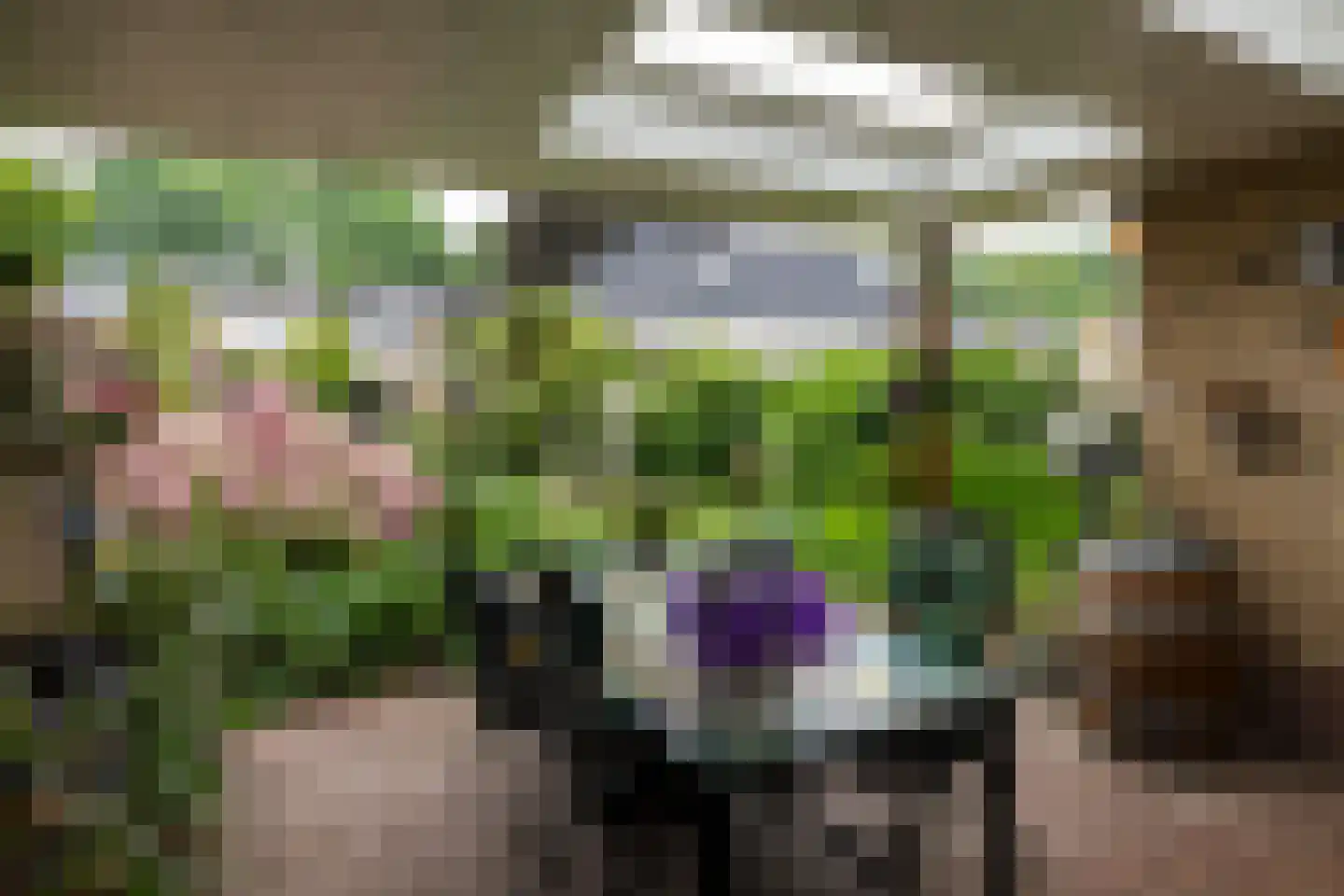 Nicolaas Sichmansstraat 43 Eersel thumbnail 31