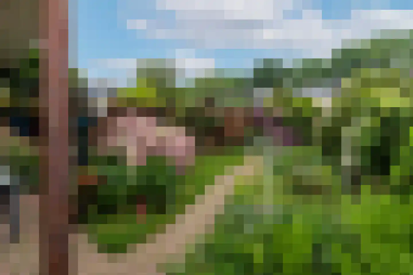Nicolaas Sichmansstraat 43 Eersel thumbnail 32
