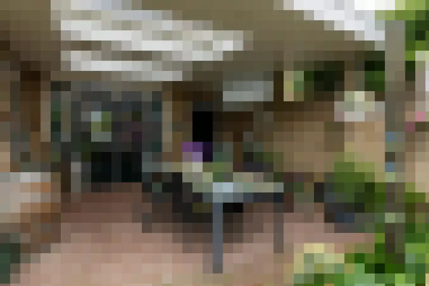 Nicolaas Sichmansstraat 43 Eersel thumbnail 33