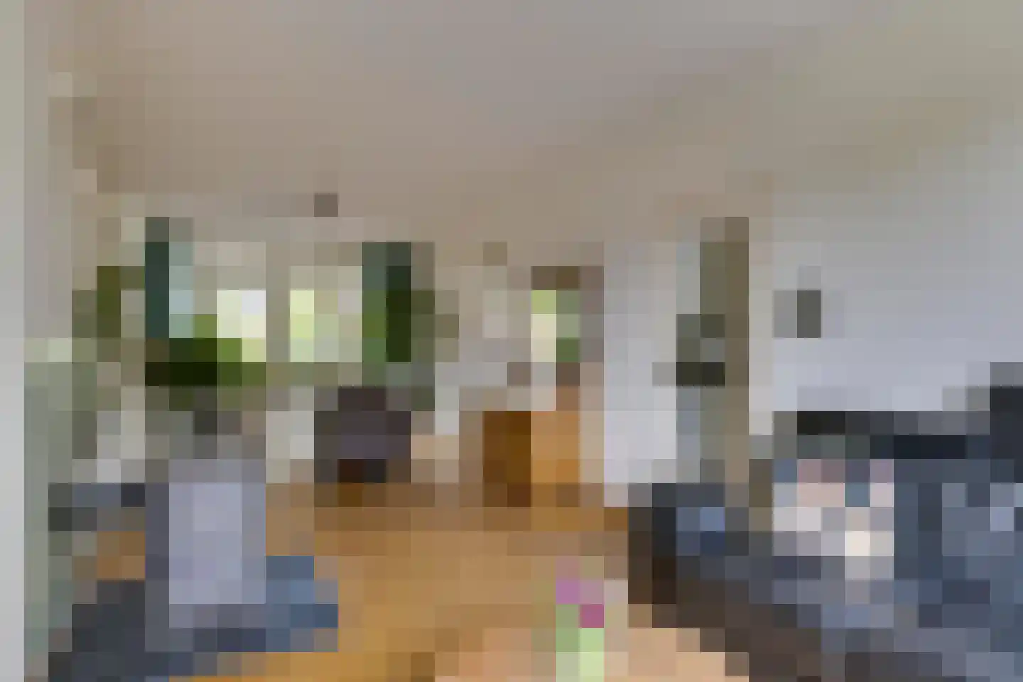 Nicolaas Sichmansstraat 43 Eersel thumbnail 6