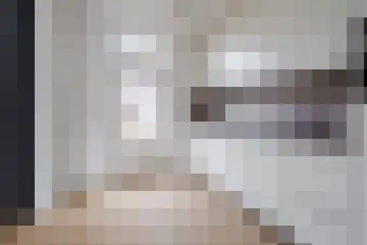 Nicolaas Sichmansstraat 63 Eersel thumbnail 10