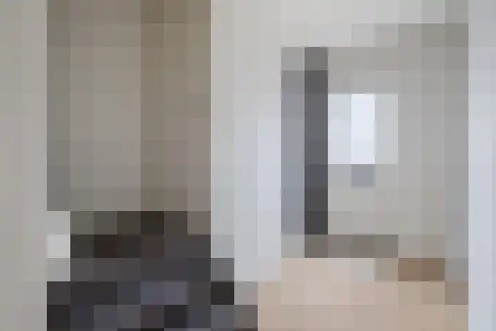 Nicolaas Sichmansstraat 63 Eersel thumbnail 12