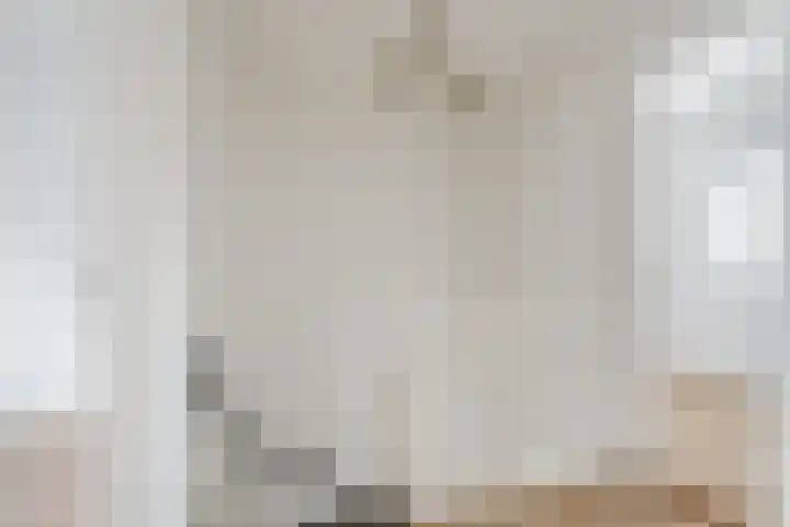Nicolaas Sichmansstraat 63 Eersel thumbnail 13