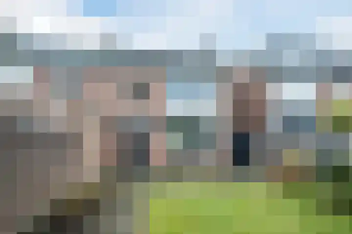 Nicolaas Sichmansstraat 63 Eersel thumbnail 23
