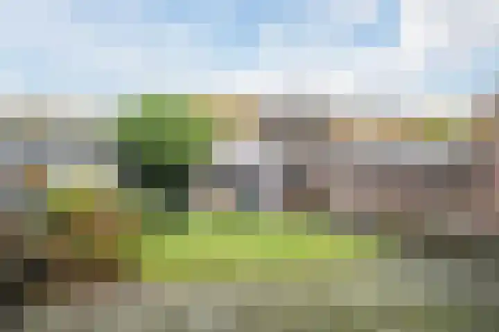 Nicolaas Sichmansstraat 63 Eersel thumbnail 25
