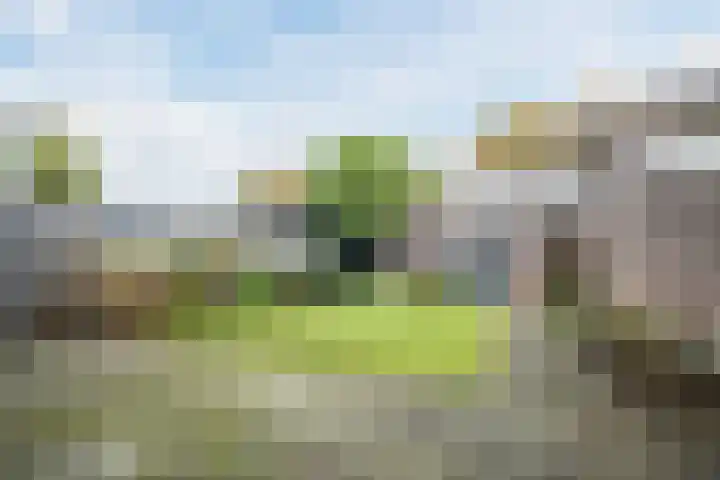 Nicolaas Sichmansstraat 63 Eersel thumbnail 26