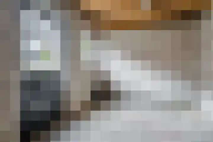 Nicolaas Sichmansstraat 63 Eersel thumbnail 27