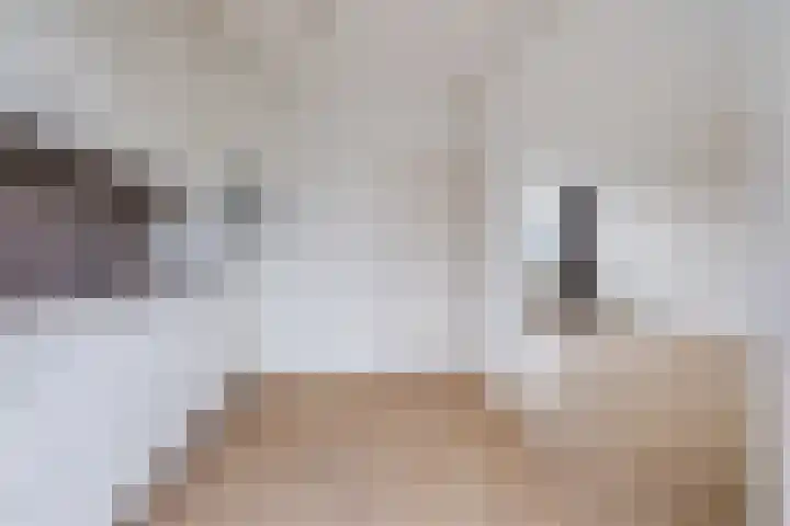 Nicolaas Sichmansstraat 63 Eersel thumbnail 9