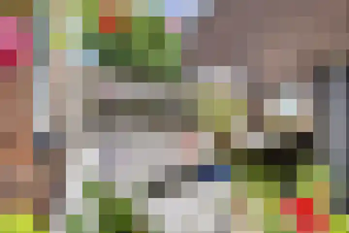 Nicolaas Sopingiusstraat 13 Utrecht thumbnail 4