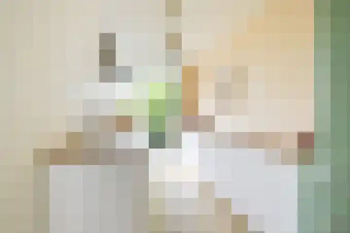 Nicolaas Sopingiusstraat 19 Utrecht thumbnail 13