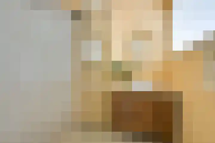 Nicolaas Sopingiusstraat 19 Utrecht thumbnail 18