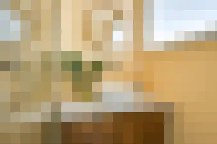 Nicolaas Sopingiusstraat 19 Utrecht thumbnail 19