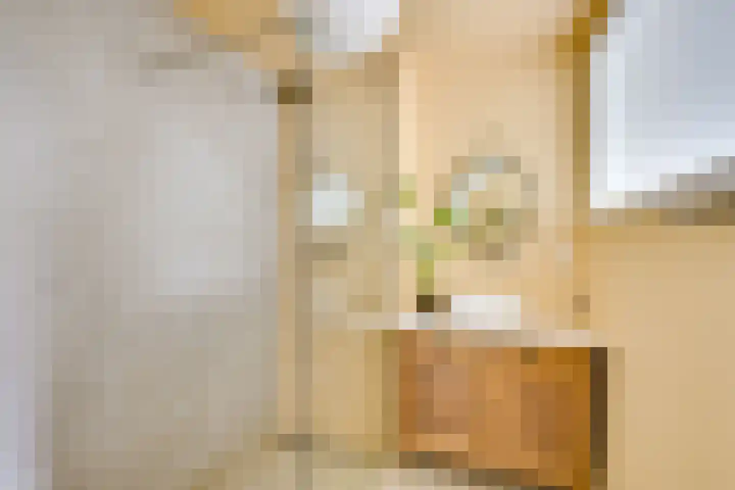 Nicolaas Sopingiusstraat 19 Utrecht thumbnail 22
