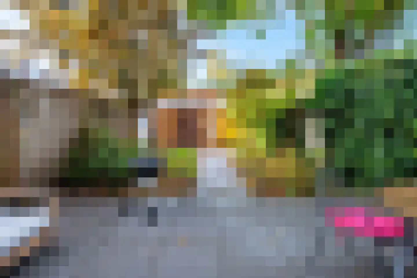 Nicolaas Sopingiusstraat 19 Utrecht thumbnail 24
