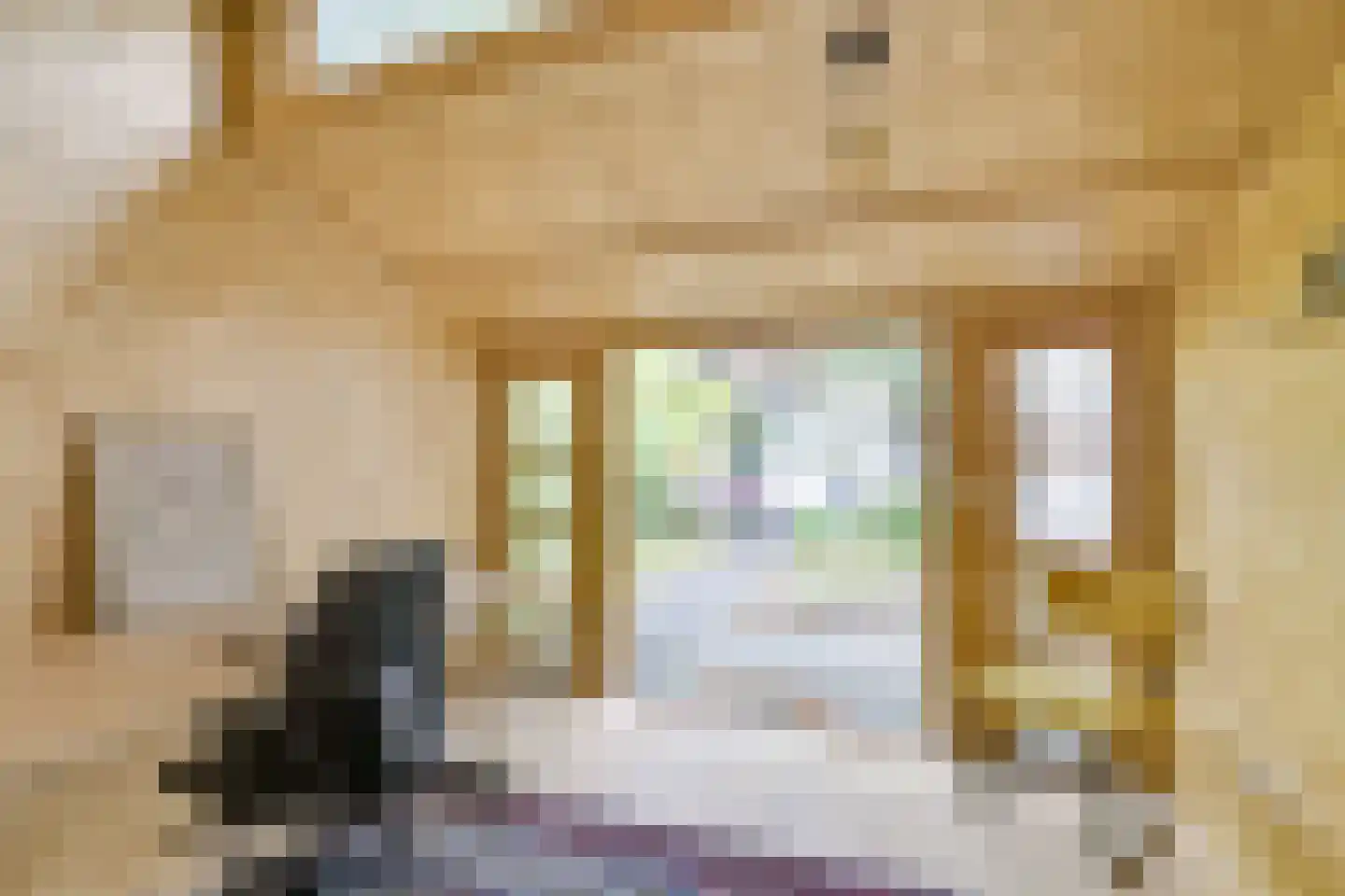 Nicolaas Sopingiusstraat 19 Utrecht thumbnail 28