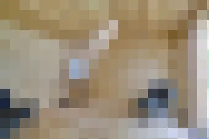 Nicolaas Sopingiusstraat 19 Utrecht thumbnail 34
