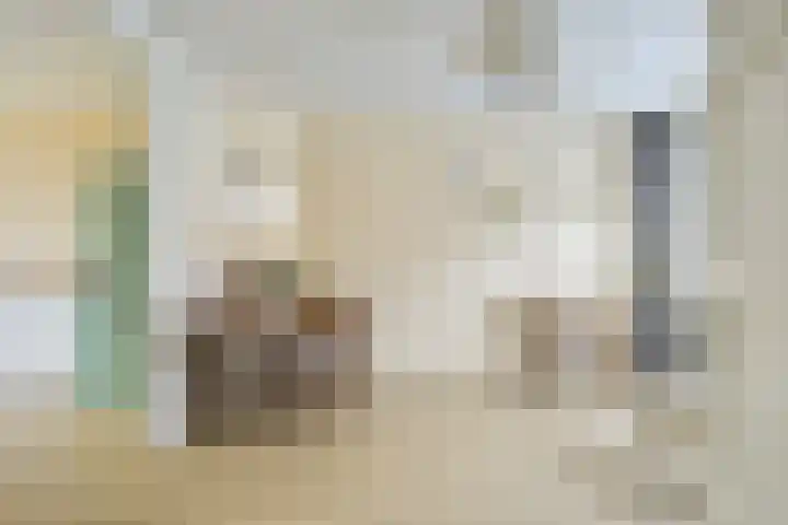 Nicolaas Sopingiusstraat 19 Utrecht thumbnail 8