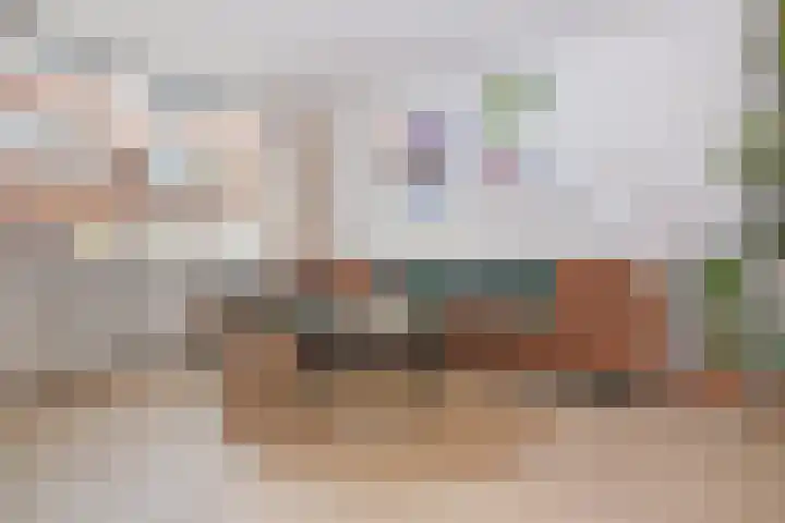 Nicolaas Sopingiusstraat 21 Utrecht thumbnail 5