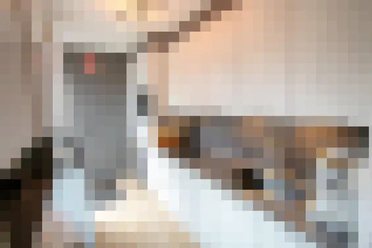 Nicolaas Sopingiusstraat 22 Utrecht thumbnail 5