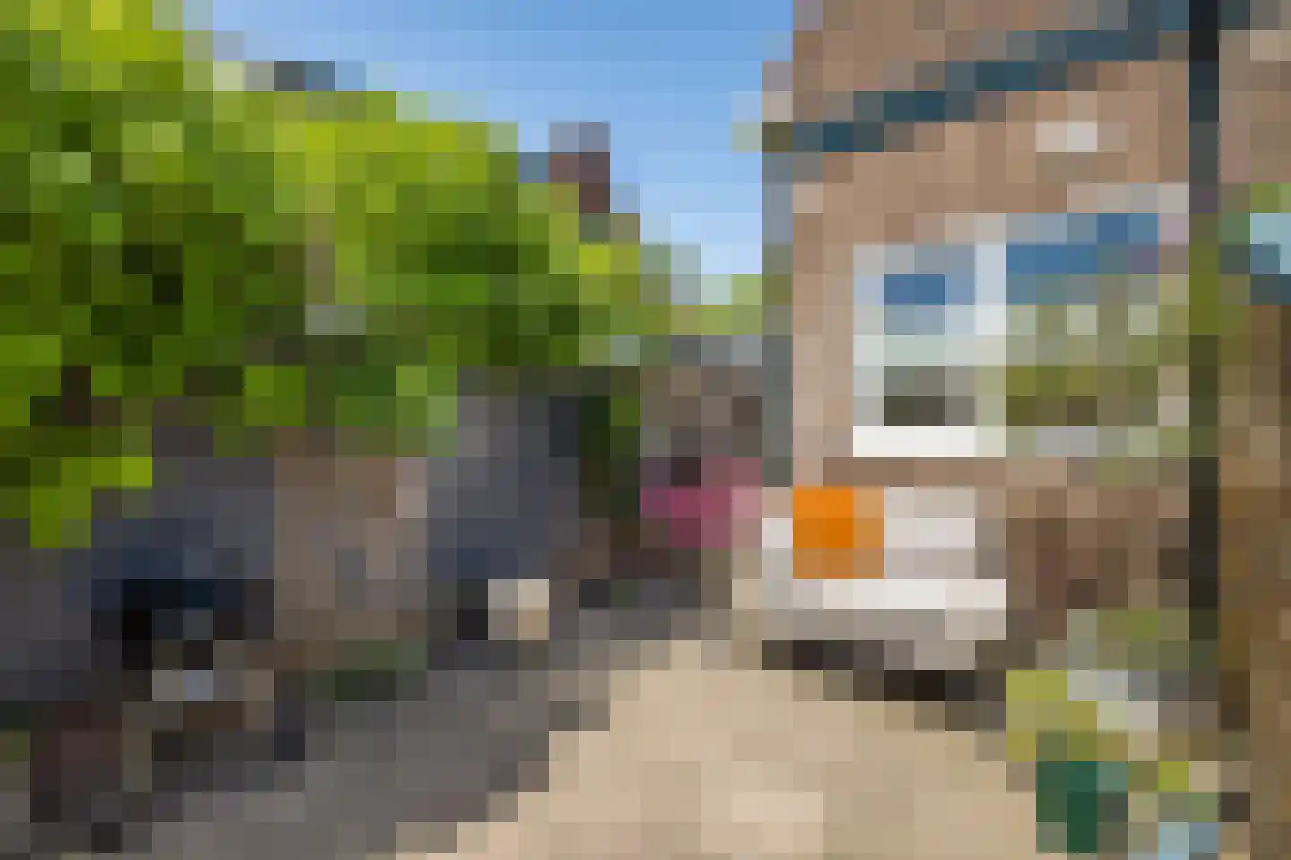 Nicolaas Sopingiusstraat 23 Utrecht thumbnail 38