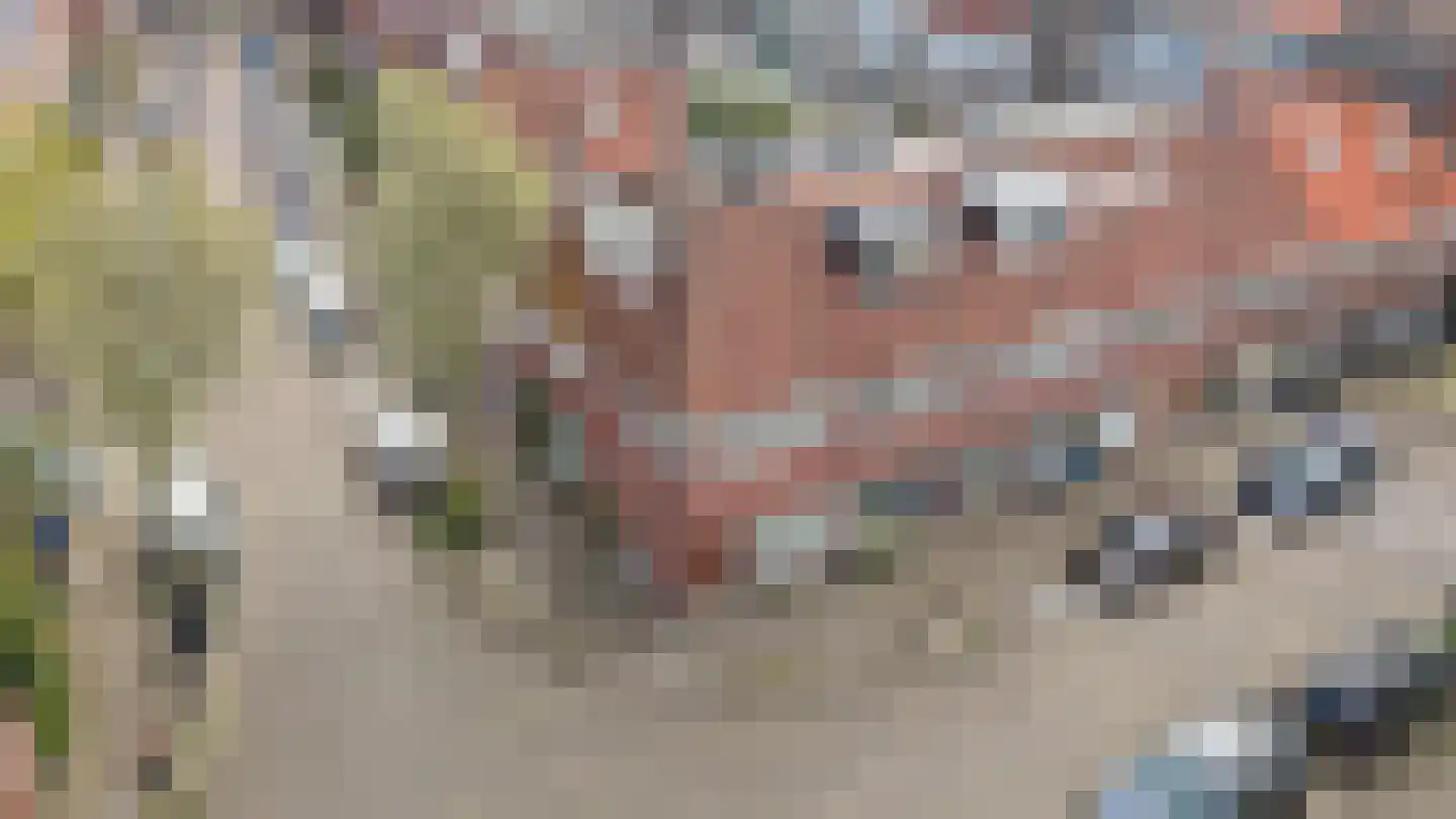 Nicolaas Sopingiusstraat 35 Utrecht thumbnail 43