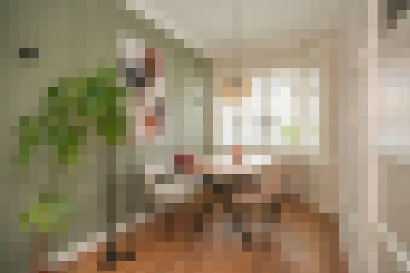 Nicolaas Sopingiusstraat 35 Utrecht thumbnail 8