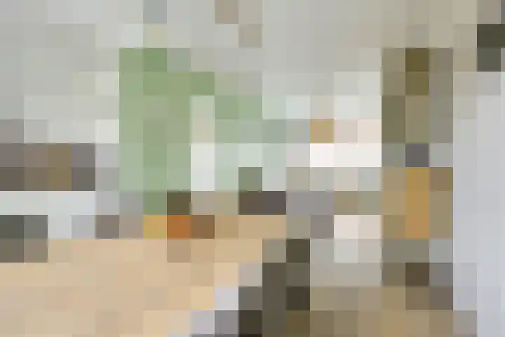 Nicolaas Sopingiusstraat 46 Utrecht thumbnail 11