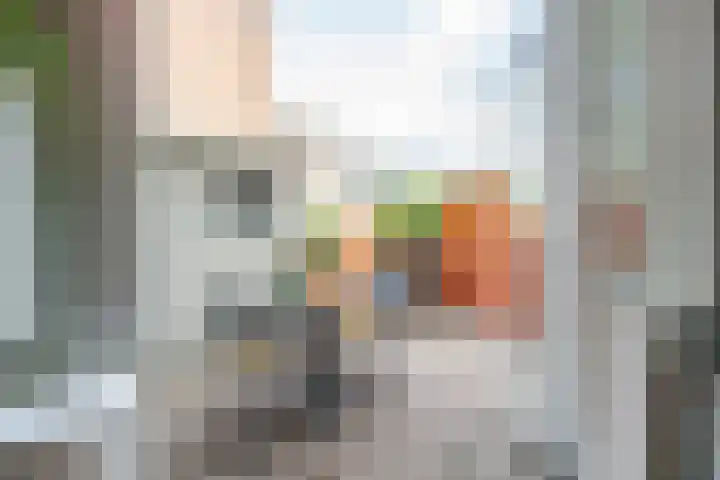 Nicolaas Sopingiusstraat 46 Utrecht thumbnail 18