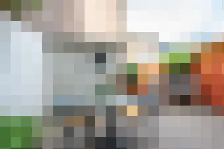 Nicolaas Sopingiusstraat 46 Utrecht thumbnail 4
