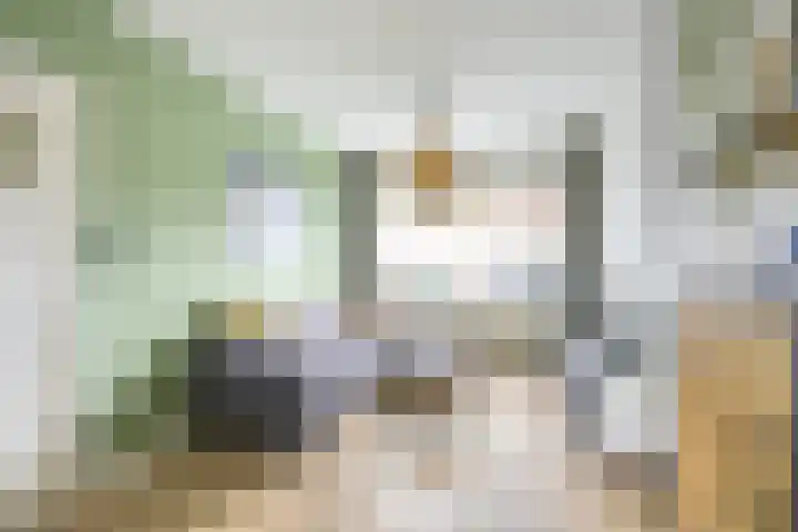 Nicolaas Sopingiusstraat 46 Utrecht thumbnail 7