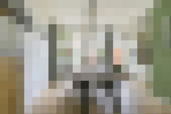 Nicolaas Sopingiusstraat 46 Utrecht thumbnail 9