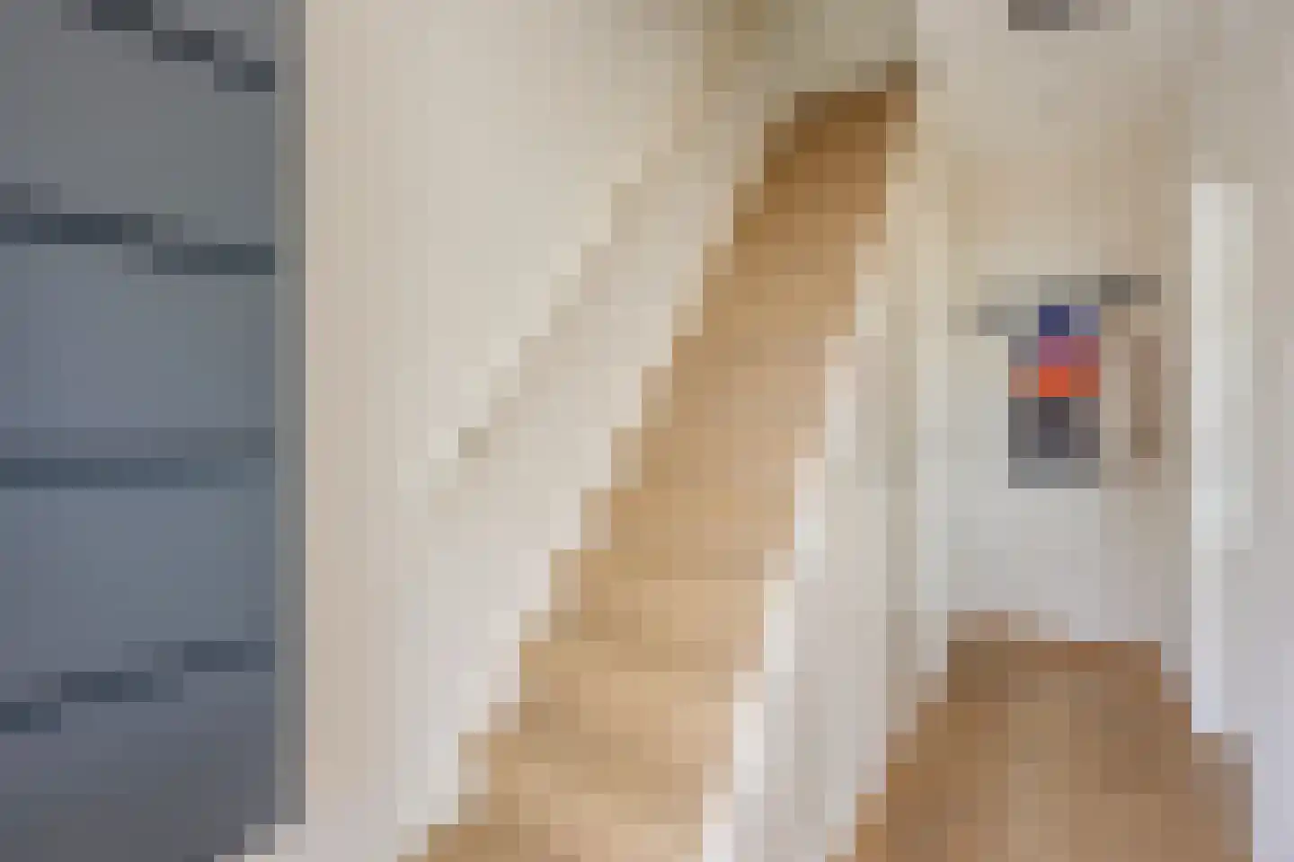 Nicolaas Sopingiusstraat 76 Utrecht thumbnail 25