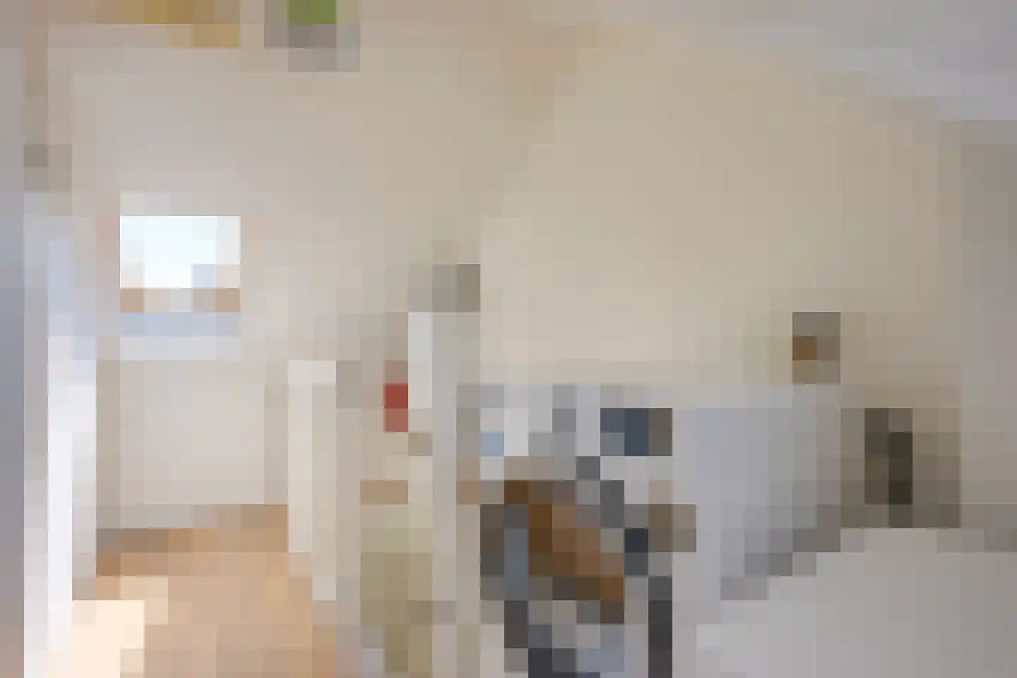 Nicolaas Sopingiusstraat 76 Utrecht thumbnail 41