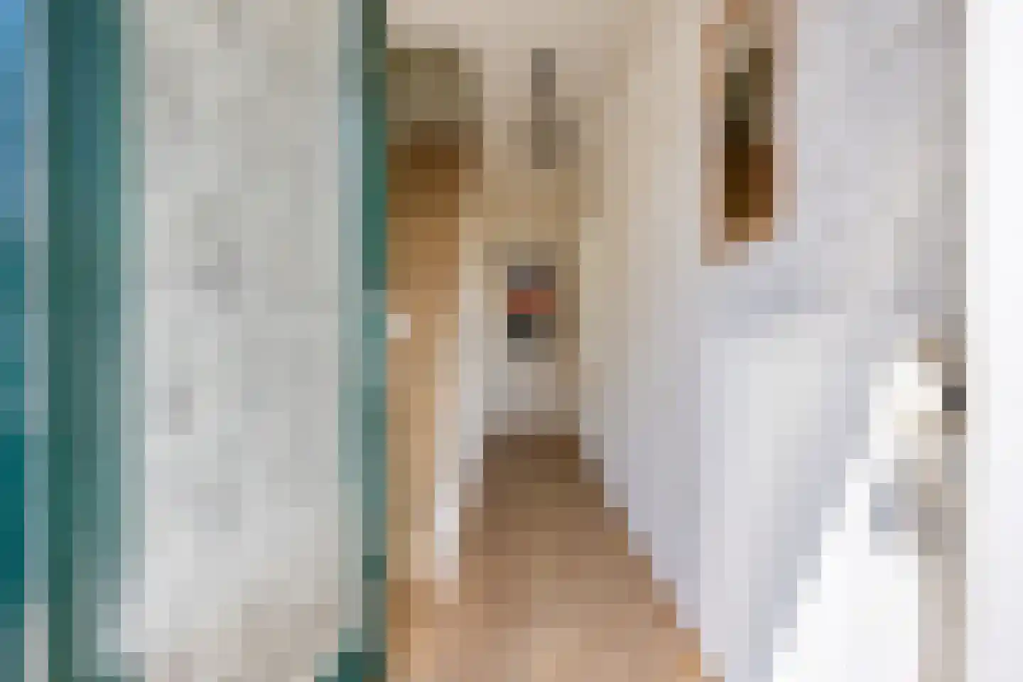 Nicolaas Sopingiusstraat 76 Utrecht thumbnail 7