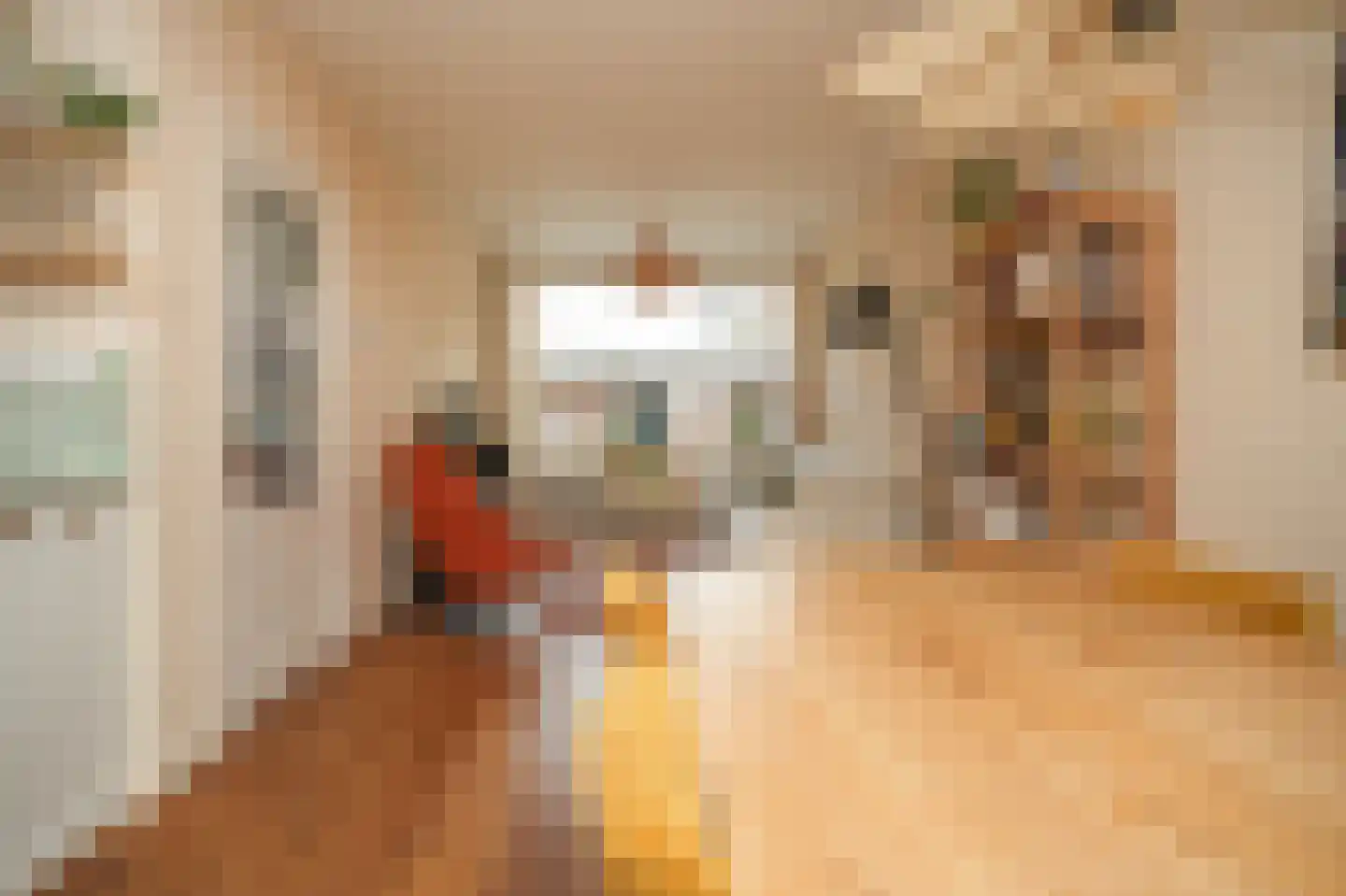 Nicolaas Sopingiusstraat 78 Utrecht thumbnail 6