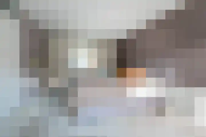 Nicolaas Stellingwerf 50 Sleeuwijk thumbnail 10