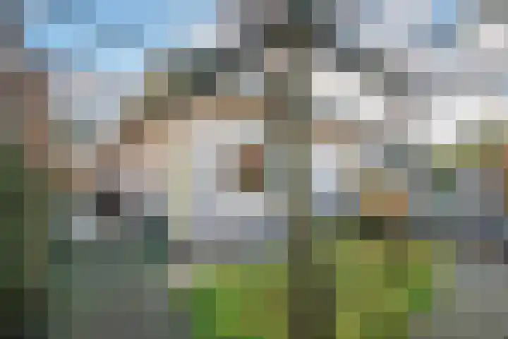 Nicolaas Stellingwerf 50 Sleeuwijk thumbnail 23